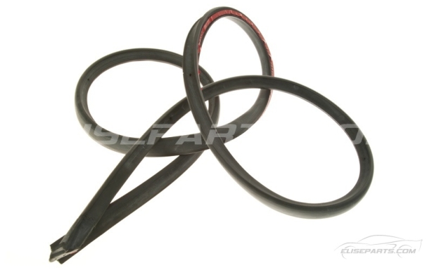 S1 Elise Door Seals D111U0160F / D111U0161F Image