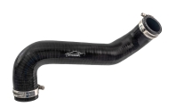 Evora Radiator Hose RH B132K0042F Image