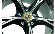 16 x Silver Star Spline Wheel Bolts (42mm Thread) Image