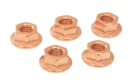 Copper Manifold Nuts Image