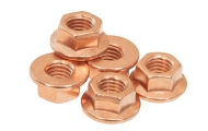 Copper Manifold Nuts Image