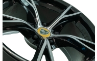Lightweight Wheel Nuts VX220 Image