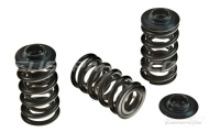 Piper Cams Double Valve Springs Image