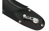 S1 Carbon Fibre Door Panels Image