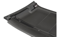 S2 / S3 Elise Carbon Fibre "Short" Hardtop Image