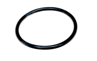 Series 1 Fuel Pump Silicon Seal A111L6008F Image