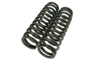 2 x Rear S2 K Series Damper Springs Image