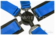 Willans Club A4 Non-FIA Blue Harness Image