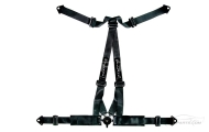 Willans Club Non-FIA Black Harness Image