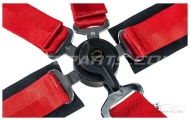 Willans Club Non-FIA Red Harness Image