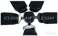 Willans Silverstone A2 FIA Black Harness Image